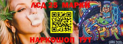 spice Абакан