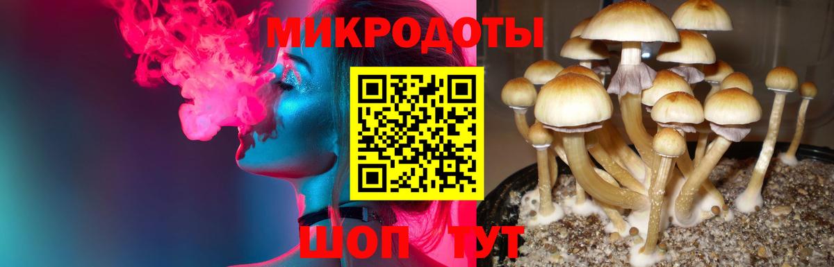закладка  Галлюциногенные грибы прущие грибы  Псилоцибиновые грибы прущие грибы  Вход с VPN  Россия 